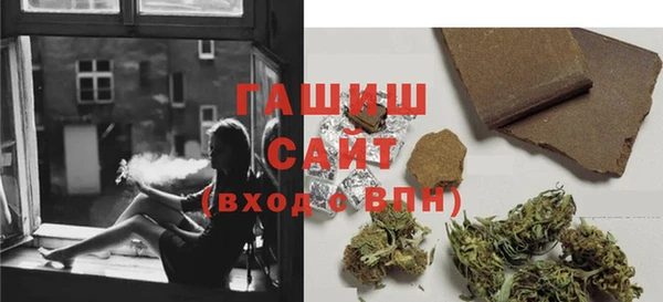 твердый Инсар