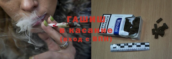 твердый Инсар