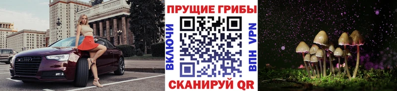 купить наркотики цена  дарк нет как зайти  Псилоцибиновые грибы ЛСД  Красавино 